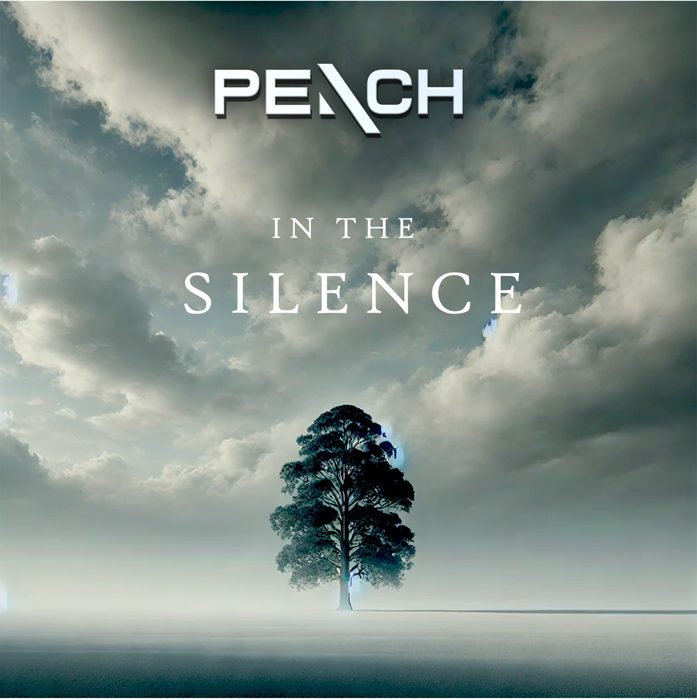 Cover «In The Silence»
